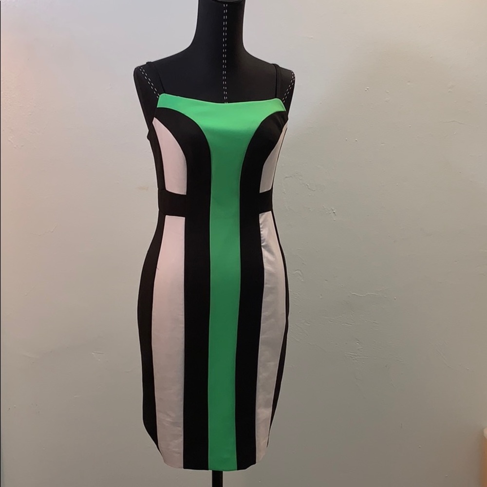 Susan Monaco Color Block Dress